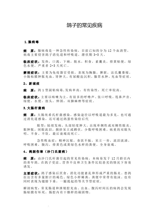 鸽子的常见疾病