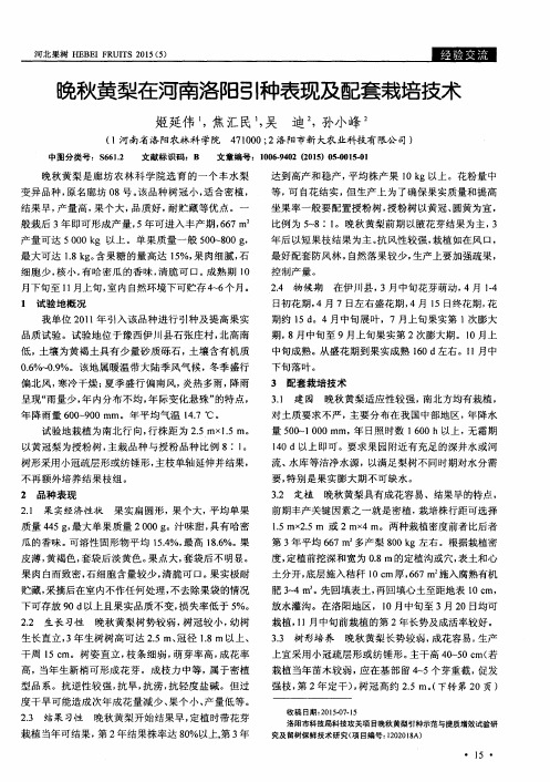 晚秋黄梨在河南洛阳引种表现及配套栽培技术