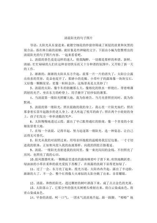 清晨阳光的句子图片