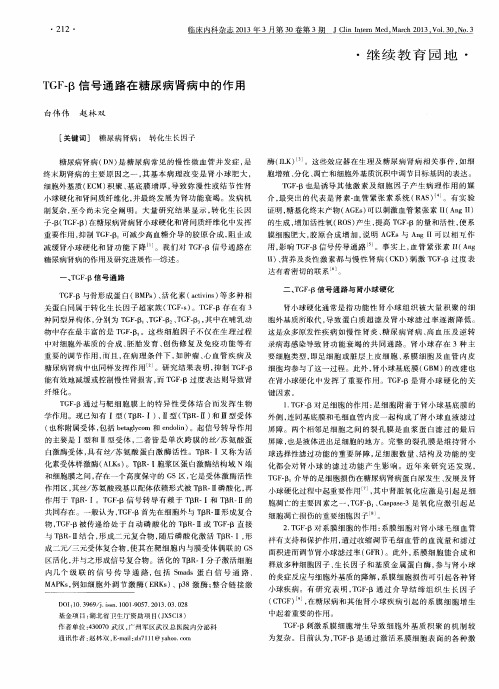 TGF—β信号通路在糖尿病肾病中的作用