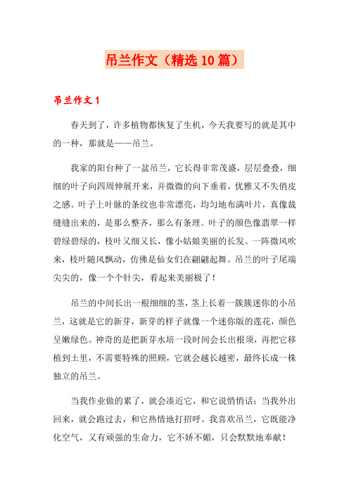 吊兰作文(精选10篇)