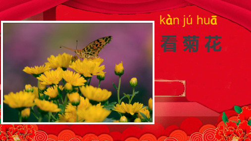 一年级语文上册 课文6 看菊花课件1 小学一年级上册语文课件