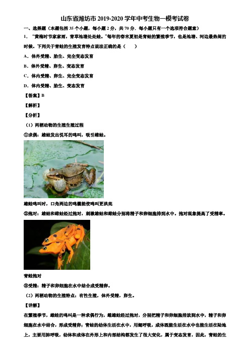 山东省潍坊市2019-2020学年中考生物一模考试卷含解析