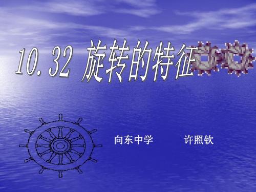 10.32旋转的特征(可用)