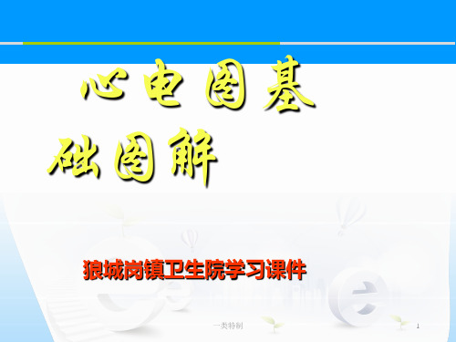 心电图基础图解[行业知识]