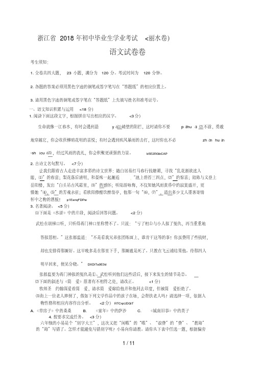 2018年浙江省丽水市中考语文试卷含答案
