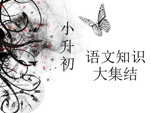 小升初语文推班知识大集结(课堂PPT)