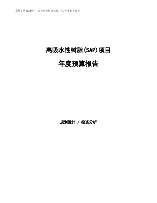 高吸水性树脂(SAP)项目年度预算报告