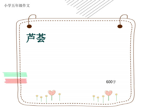 小学五年级作文《芦荟》600字(共9页PPT)