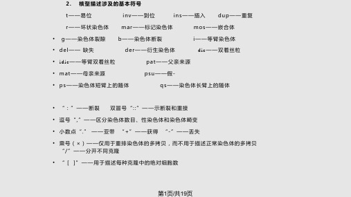 染色体命名体制PPT课件