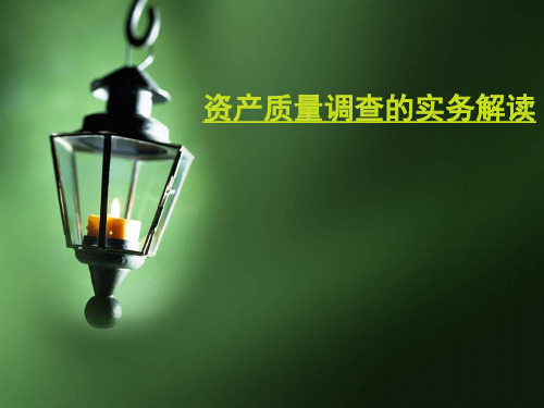 企业资产质量状况分析PPT课件