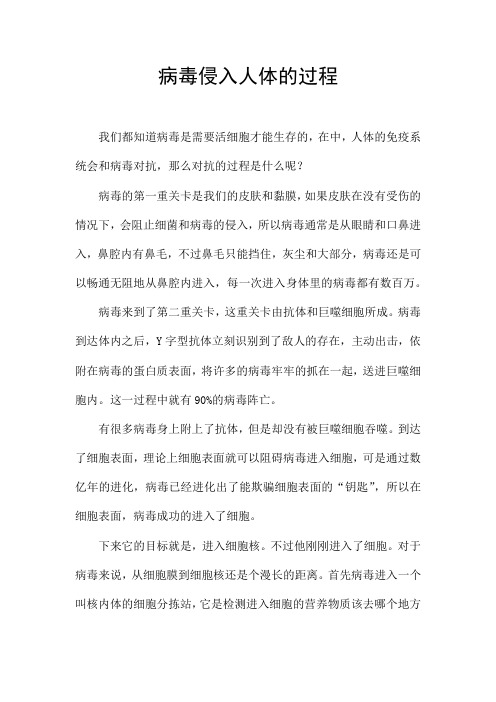 病毒侵入人体的过程