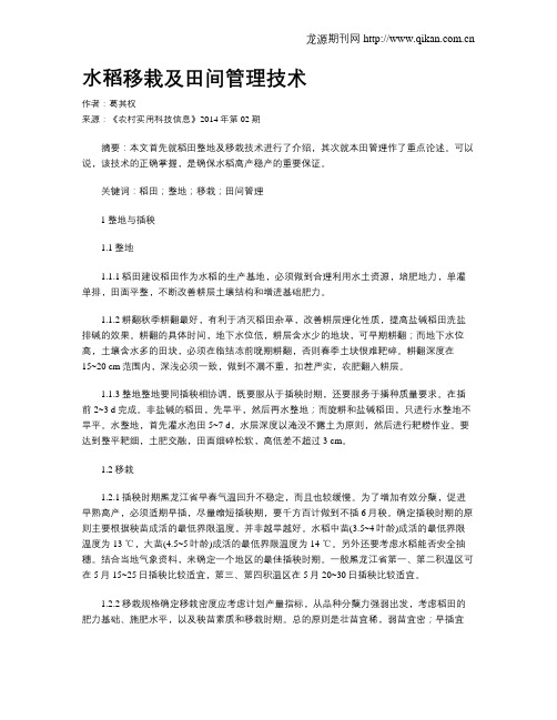 水稻移栽及田间管理技术