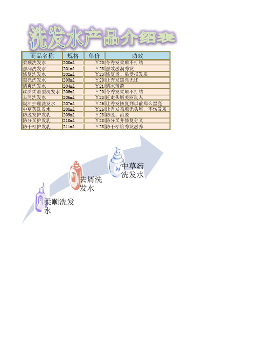 通用产品介绍表格模板