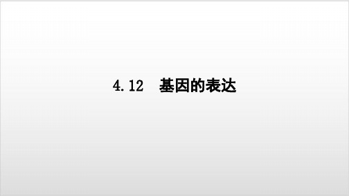 人教版高中生物必修二4.12基因的表达PPT优秀课件