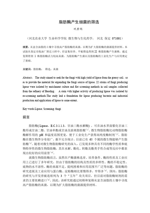 产脂肪酶真菌的筛选