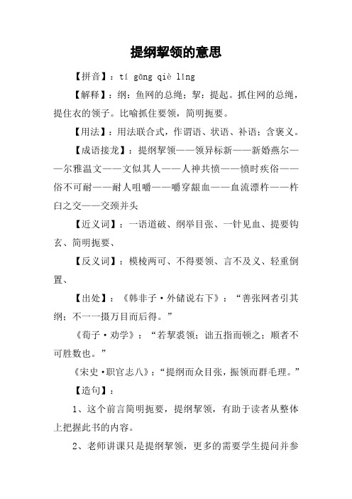提纲挈领的意思