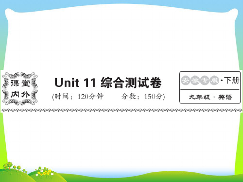 人教版(安徽专用)九年级英语下册课件：unit11综合检测 (共42张PPT).ppt