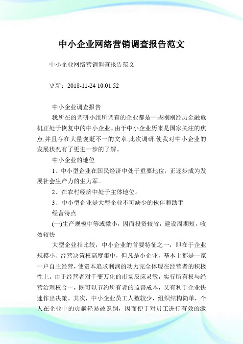 中小企业网络营销调查报告范文.doc
