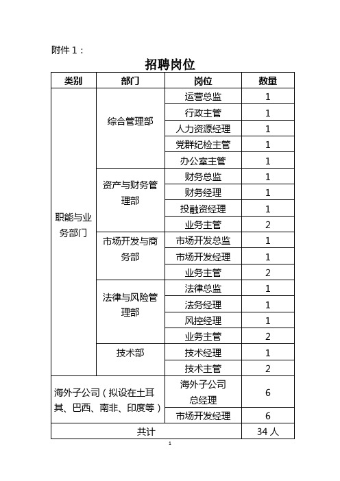 国家电投海外投资发展公司招聘职位表