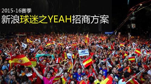 新浪球迷之yeah招商方案-1021