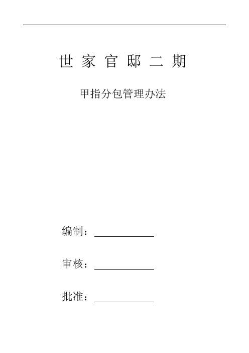 甲指分包管理规定
