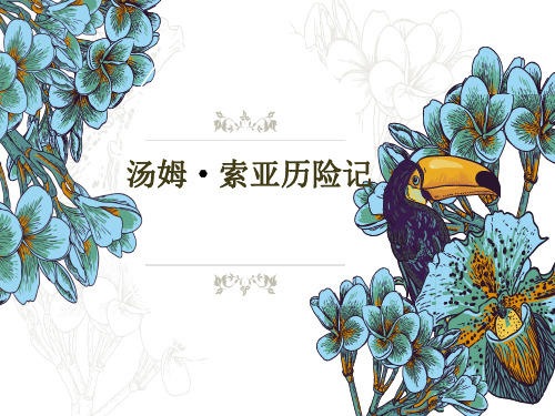 四年级下册语文课件-课文32  汤姆·索亚历险记｜语文S版 (共19张PPT)
