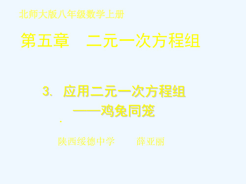 北师大版初二数学上册《鸡兔同笼》教学课件