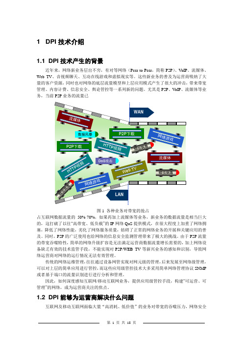 DPI(深度包检测)技术要点