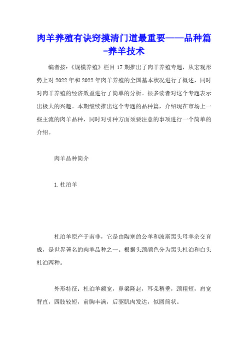 肉羊养殖有诀窍 摸清门道最重要——品种篇 - 养羊技术