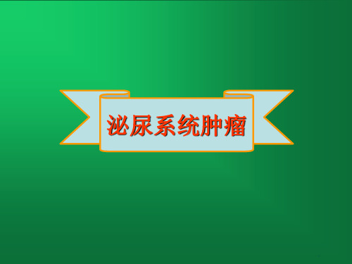 泌尿系统肿瘤影像诊断