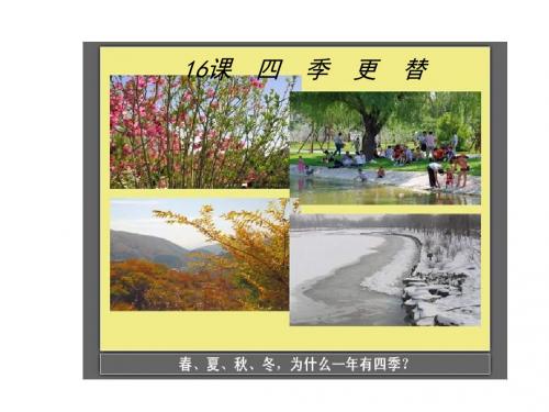青岛版小学科学六年级上册《四季更替》课件 