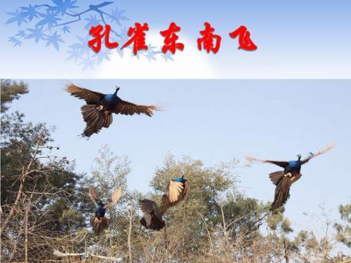 《孔雀东南飞》pptx课件(55页)