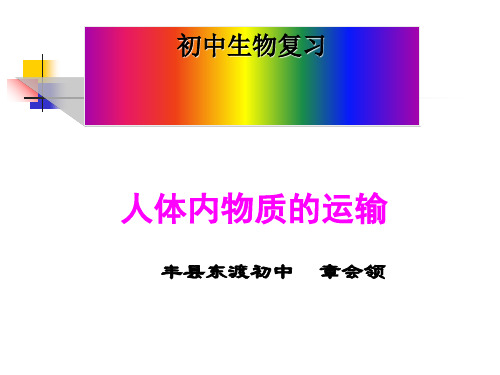 人体内物质的运输 PPT课件 人教版