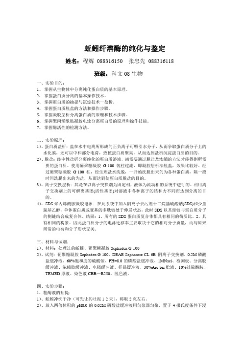 分子实验报告