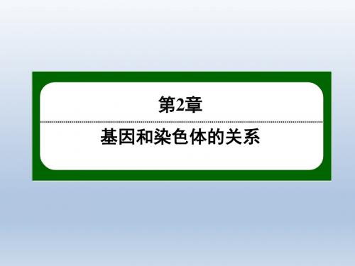 《红对勾·45分钟作业与单元评估》2014-2015学年高一生物人教版必修二配套课件第2章基因和染色体的关系2-2