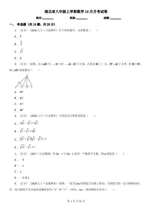 湖北省八年级上学期数学10月月考试卷