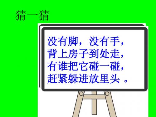 小学科学三年级上册2蜗牛(一)