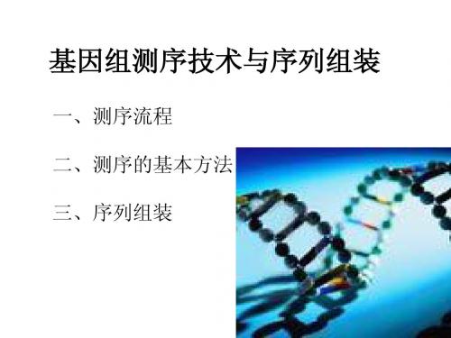 基因组测序技术