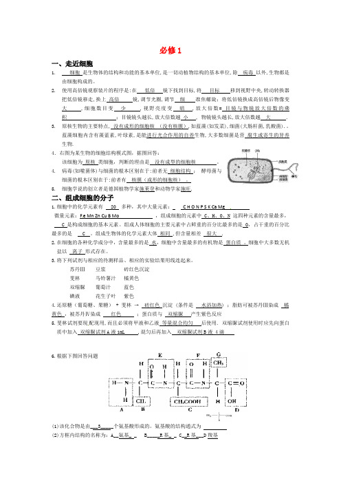 生物：人教版必修一综合测试题(教师版,含答案).docx