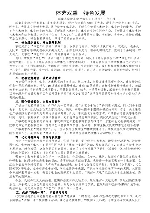 体艺双馨  特色发展-辉南县实验小学体艺2+1工作汇报
