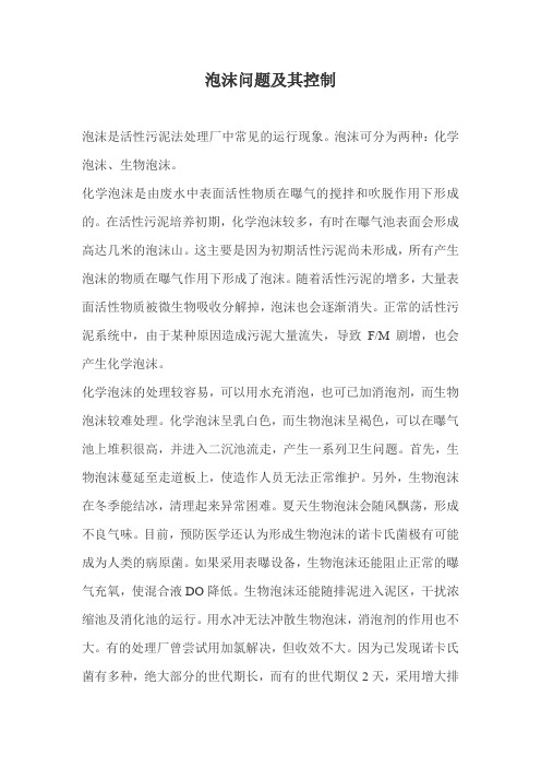 泡沫问题及其控制