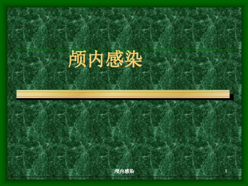 颅内感染ppt课件