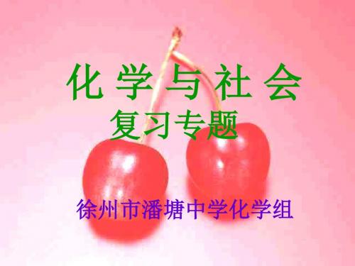 化学与社会复习专题PPT课件 人教课标版
