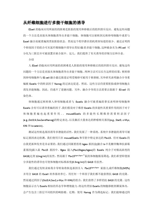 2-从纤维细胞进行多能干细胞的诱导