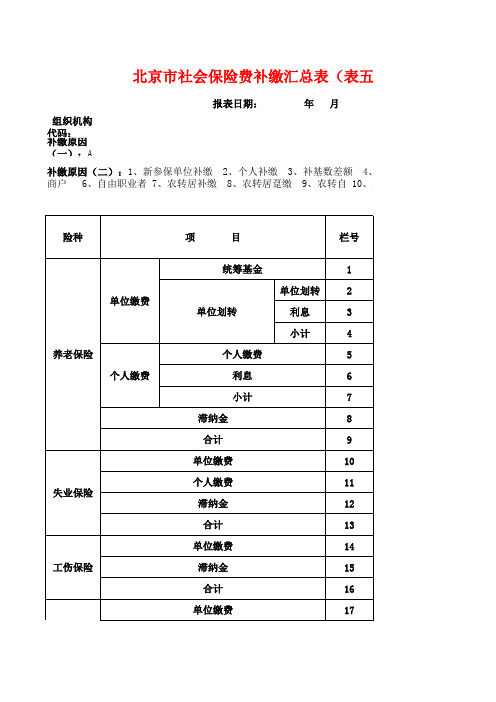 补缴汇总表