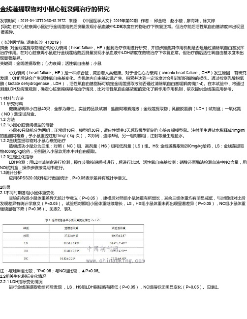 金线莲提取物对小鼠心脏衰竭治疗的研究