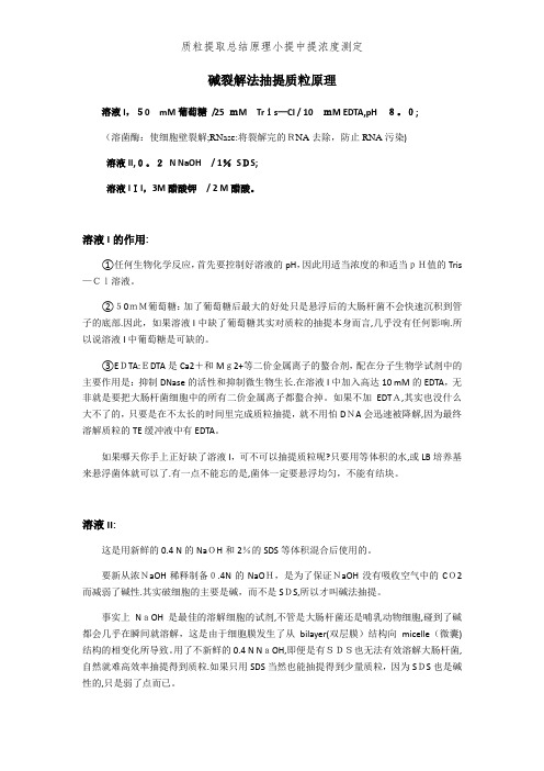 质粒提取总结原理小提中提浓度测定