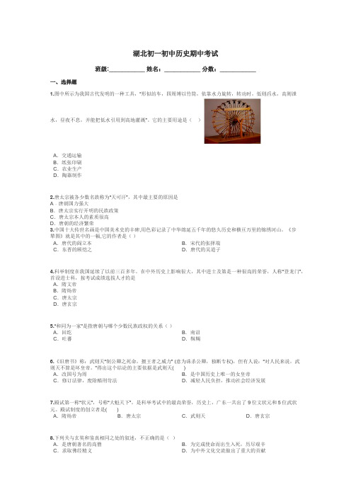 湖北初一初中历史期中考试带答案解析
