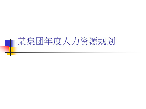 国内某著名IT公司人力资源规划实例